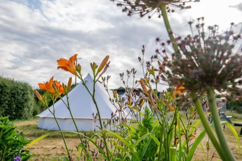 The Paddock Wildcamp Luxury tent in England