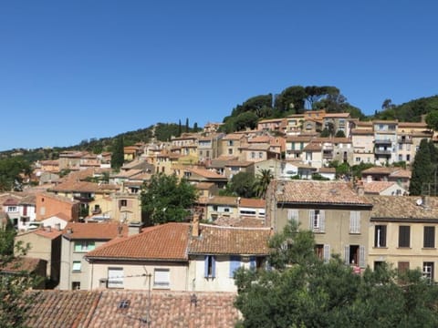 T2 cabine rénové proche commerces et plages, expo sud avec garage à Bormes les Mimosas - FR-1-610-52 Cabin in Bormes-les-Mimosas