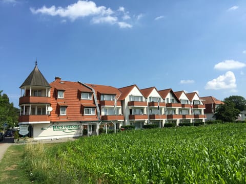 Property building, Day