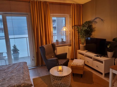 Communal lounge/ TV room, TV and multimedia, Balcony/Terrace, Living room, Seating area, Bedroom