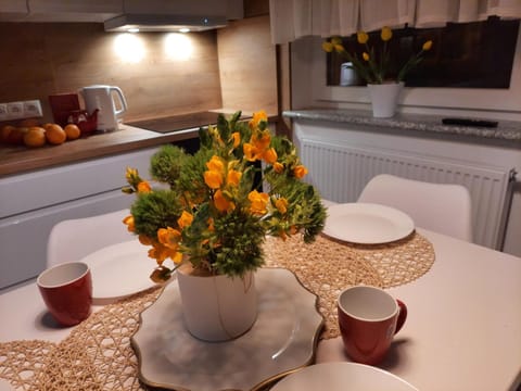 Apartament Amber Comfort z prywatnym miejscem parkingowym Apartment in West Pomeranian Voivodeship, Poland