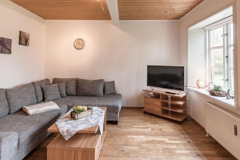 TV and multimedia, Living room, Seating area, Evening entertainment