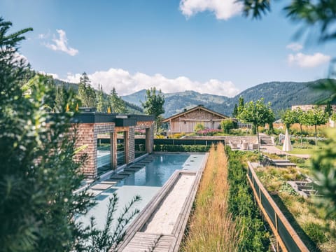 Pool view, Swimming pool