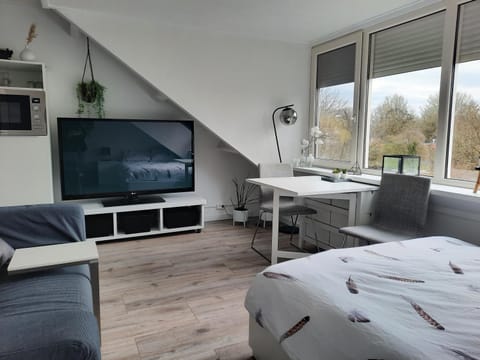Bed, TV and multimedia, Kitchen or kitchenette, Living room, Photo of the whole room, Dining area, Bedroom