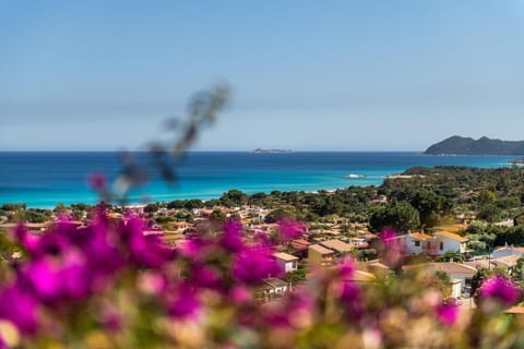 Villa Birgit Villa in Costa Rei