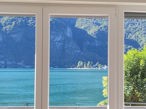 Lake view