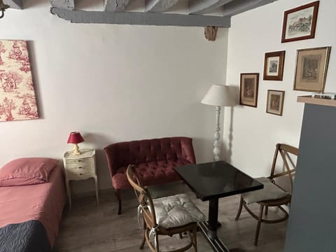 Le logis de l'hermine Apartment in Blois