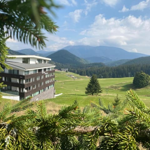Property building, Natural landscape