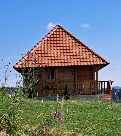 Etno domacinstvo Uvacki konaci House in Zlatibor District, Serbia
