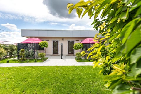 Property building, Garden, Garden view