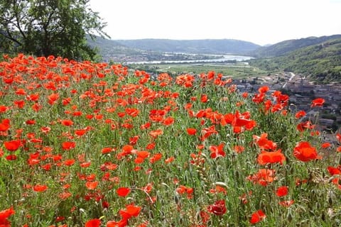 Gîtes de Revirand House in Auvergne-Rhône-Alpes