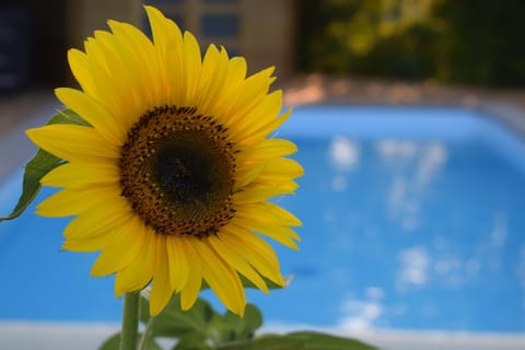 BOUILLON - Gîte wellness Dans l air du vent House in Wallonia, Belgium