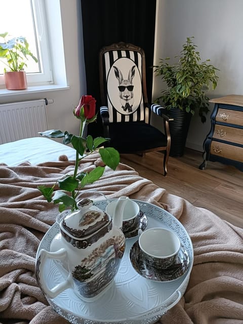 Apartamenty Holender House Choczewo 6 plaż w zasięgu Apartment in Pomeranian Voivodeship