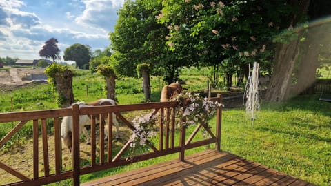 Topagergaard House in Region of Southern Denmark