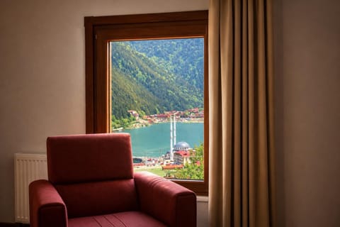 Natural landscape, Living room, Seating area, Lake view