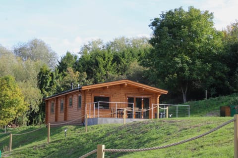 Viaduct Fishery Lodges Chalet in Sedgemoor