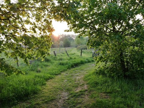 B&B 't Huys van Enaeme Bed and Breakfast in Flanders