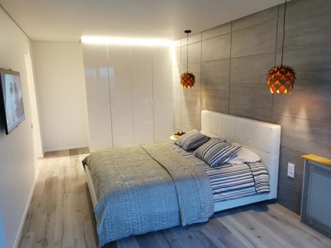 Buto nuoma Dariaus ir Girėno gatvėje Apartment in Lithuania