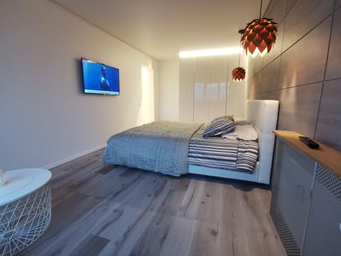 Buto nuoma Dariaus ir Girėno gatvėje Apartment in Lithuania