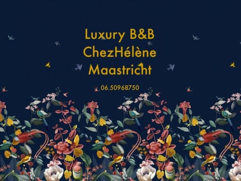 Chez Hélène Luxury BNB Bed and Breakfast in Maastricht