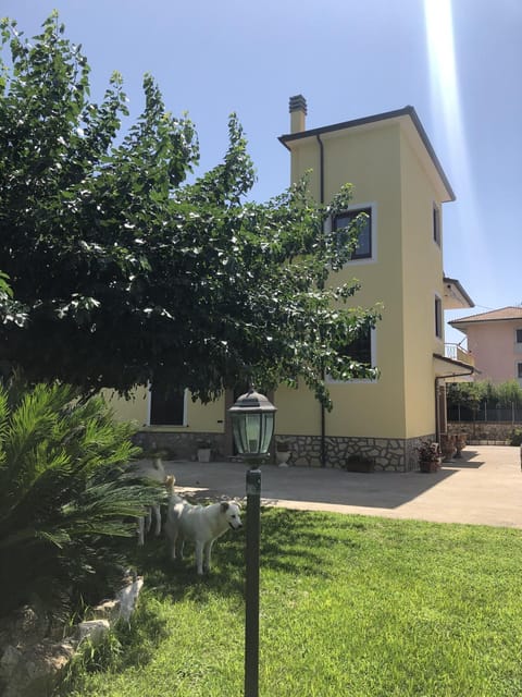 Property view