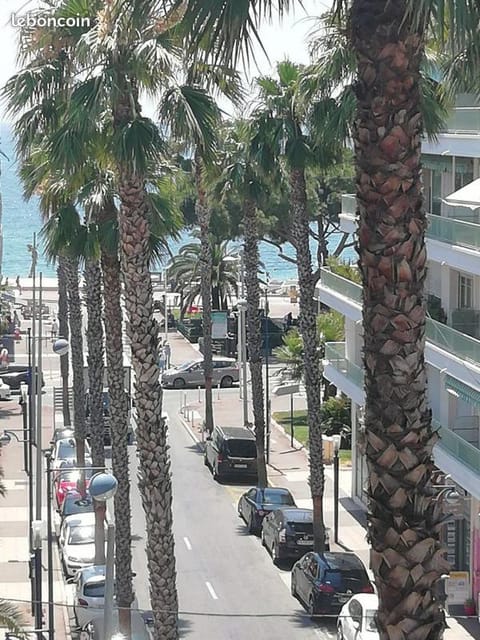 Beach, City view, Location