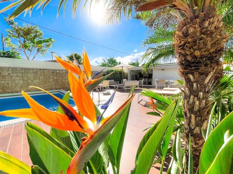 Day, Garden view, Swimming pool, sunbed