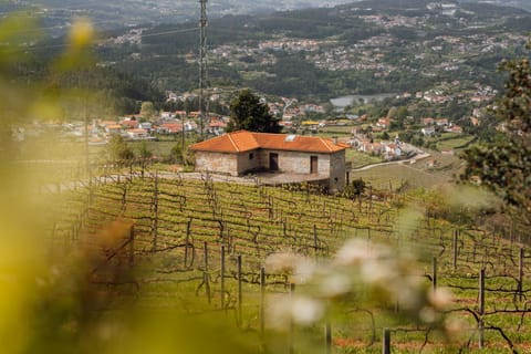Property building, Natural landscape, Mountain view