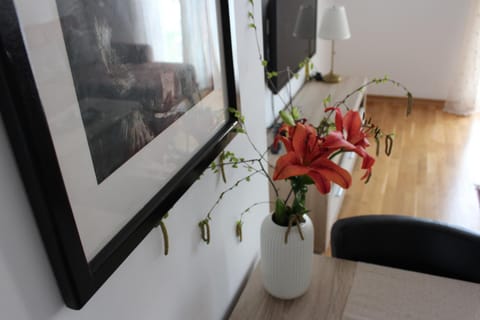 Apartment Anagastum Apartment in Montenegro