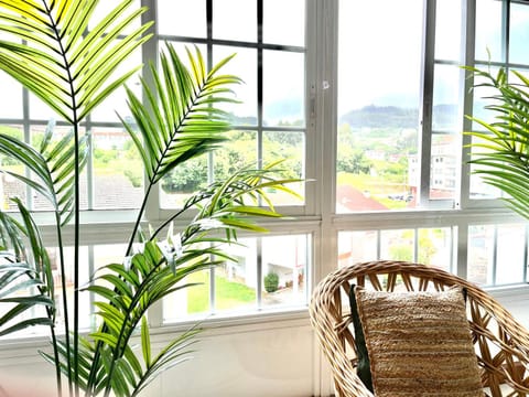 City view, Street view