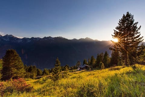 Haus Annemarie Apartment in Tyrol