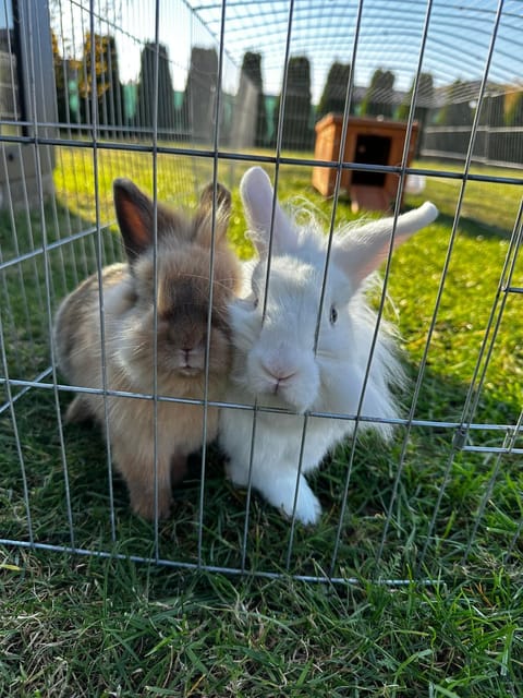 Silva House in West Pomeranian Voivodeship, Poland