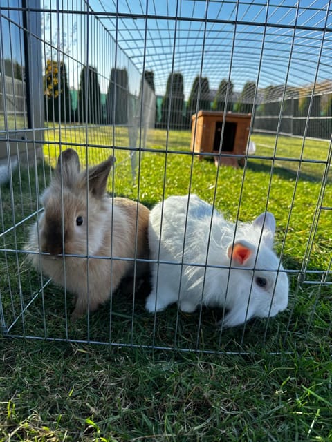 Silva House in West Pomeranian Voivodeship, Poland