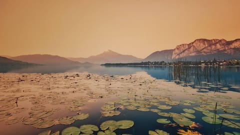 Re Lear Al Lago House in Colà