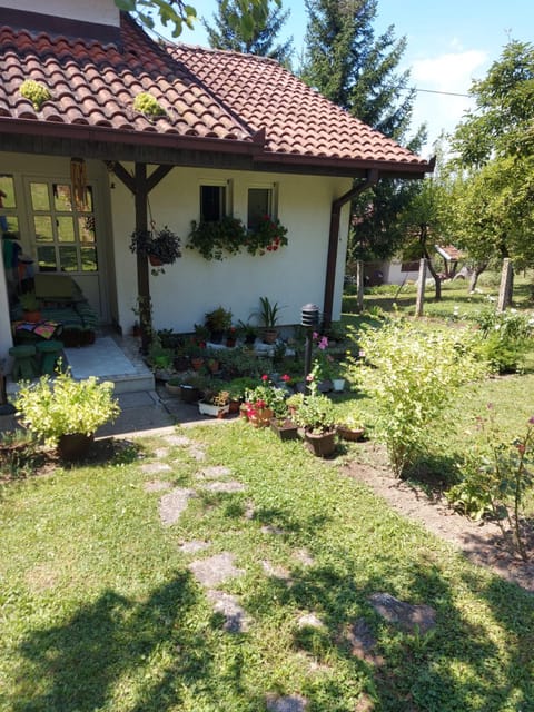 Property building, Facade/entrance, Garden