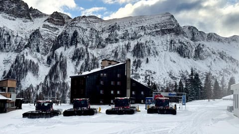 Natural landscape, Winter, View (from property/room), Garden view, Mountain view, Mountain view