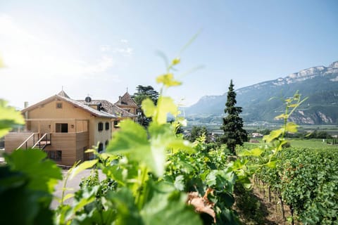 Property building, Natural landscape, View (from property/room), Mountain view