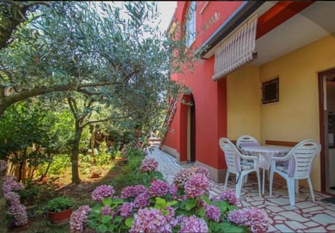 Valentina Apartment in Novigrad