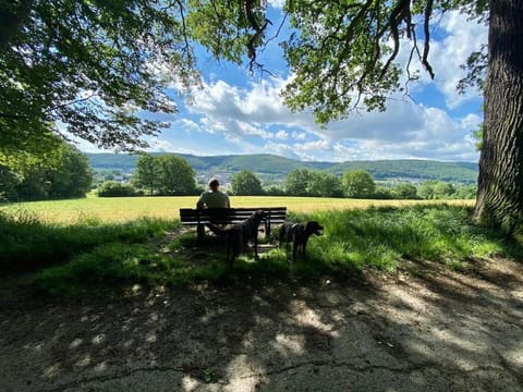 Nearby landmark, Natural landscape, Mountain view