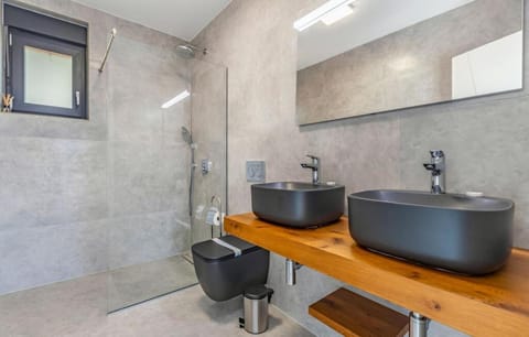 Palatium III - sea view Villa in Fažana