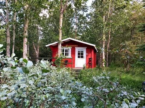 Property building, Natural landscape, Garden, Garden view