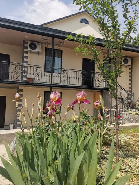 Property building, Garden, Garden view