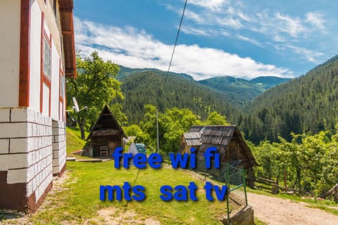 Kuca za odmor ANKA ZAOVLJANKA House in Zlatibor District, Serbia