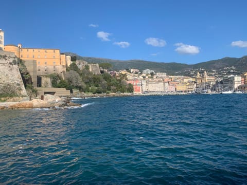 Confort et calme au sud de Bastia Apartment in Bastia