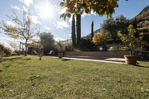 Garden, Swimming pool