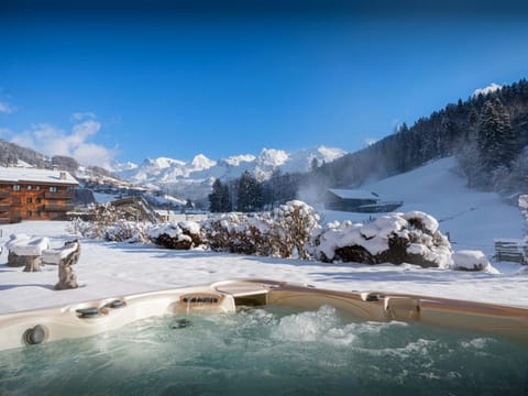 Day, Natural landscape, Winter, Hot Tub, Mountain view