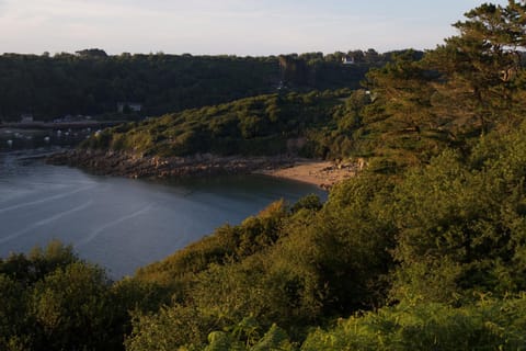 Natural landscape, Beach, Hiking