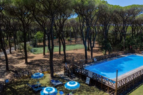 Pool view, Swimming pool