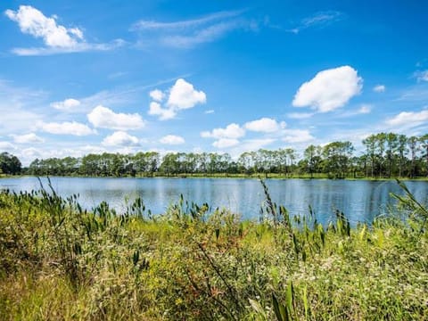 SWISS 14 - Lake Stephanie House in Groveland