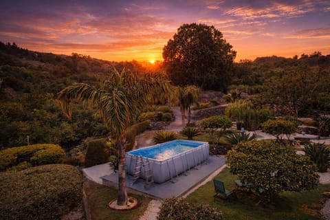 Day, Garden, Garden view, Pool view, Swimming pool, Sunset